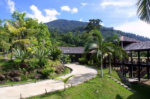 How to Visit Gunung Gading on a Budget: Transport, Accommodation & Local Tips