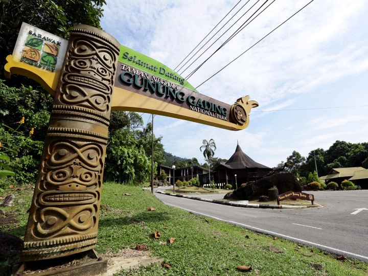 What to Pack for Gunung Gading National Park: A Practical Checklist for Travelers